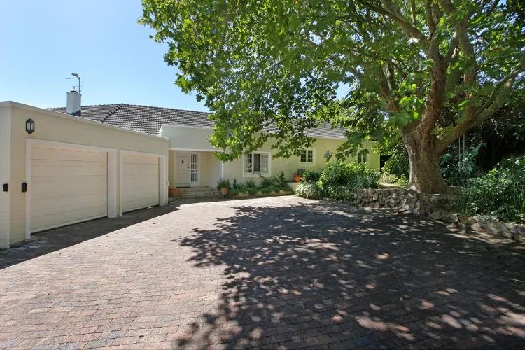 Constantia Evergreen, Constantia