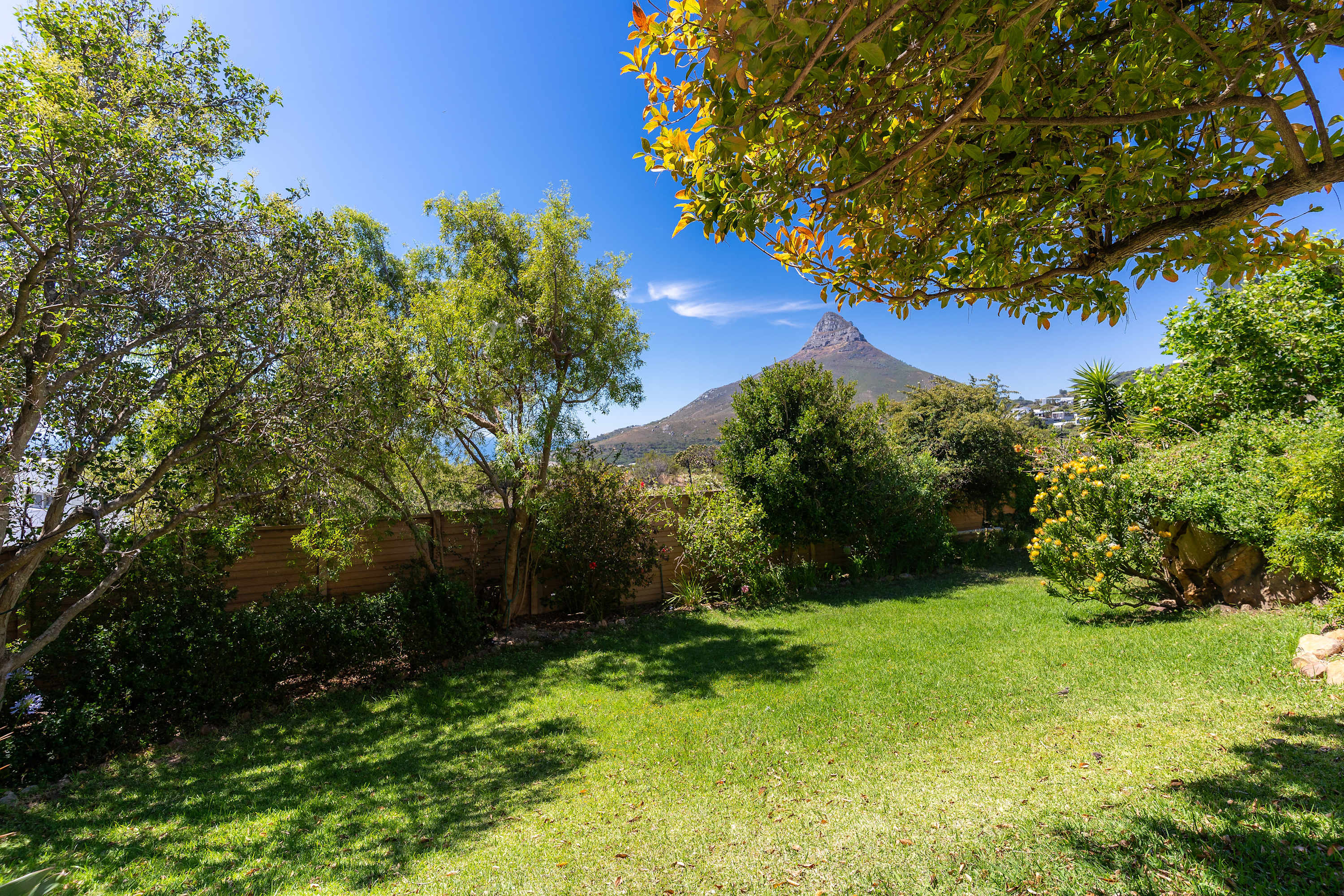 property_[object Object]_41