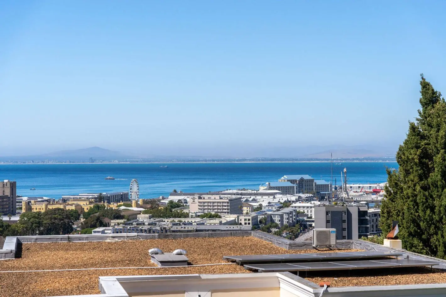 property_[object Object]_23