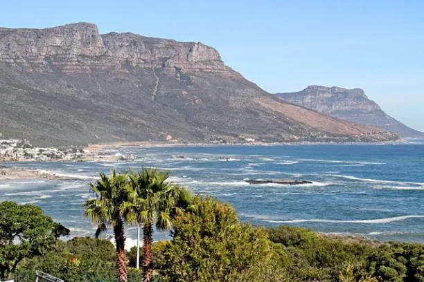 property_[object Object]_17