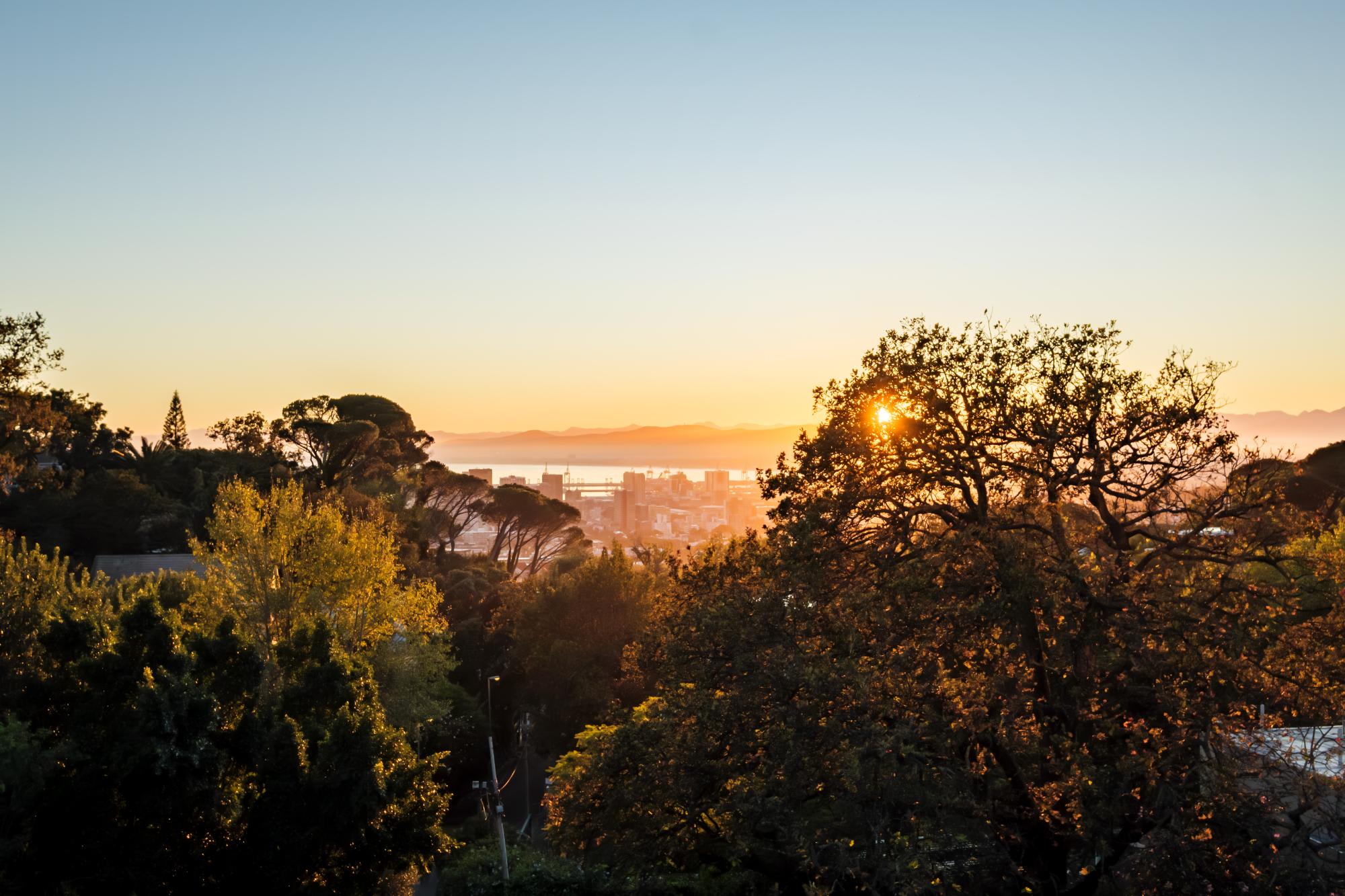 property_[object Object]_17