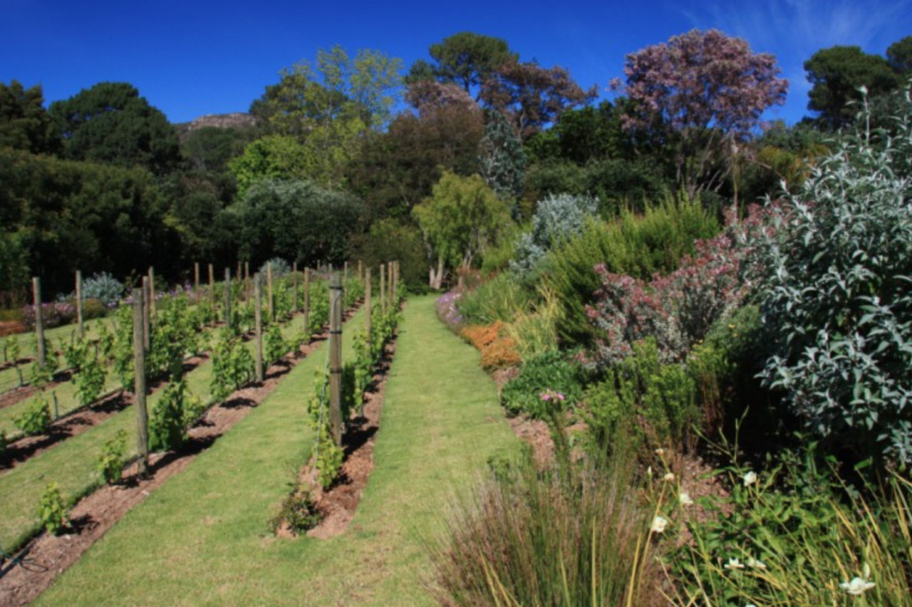 property_[object Object]_29