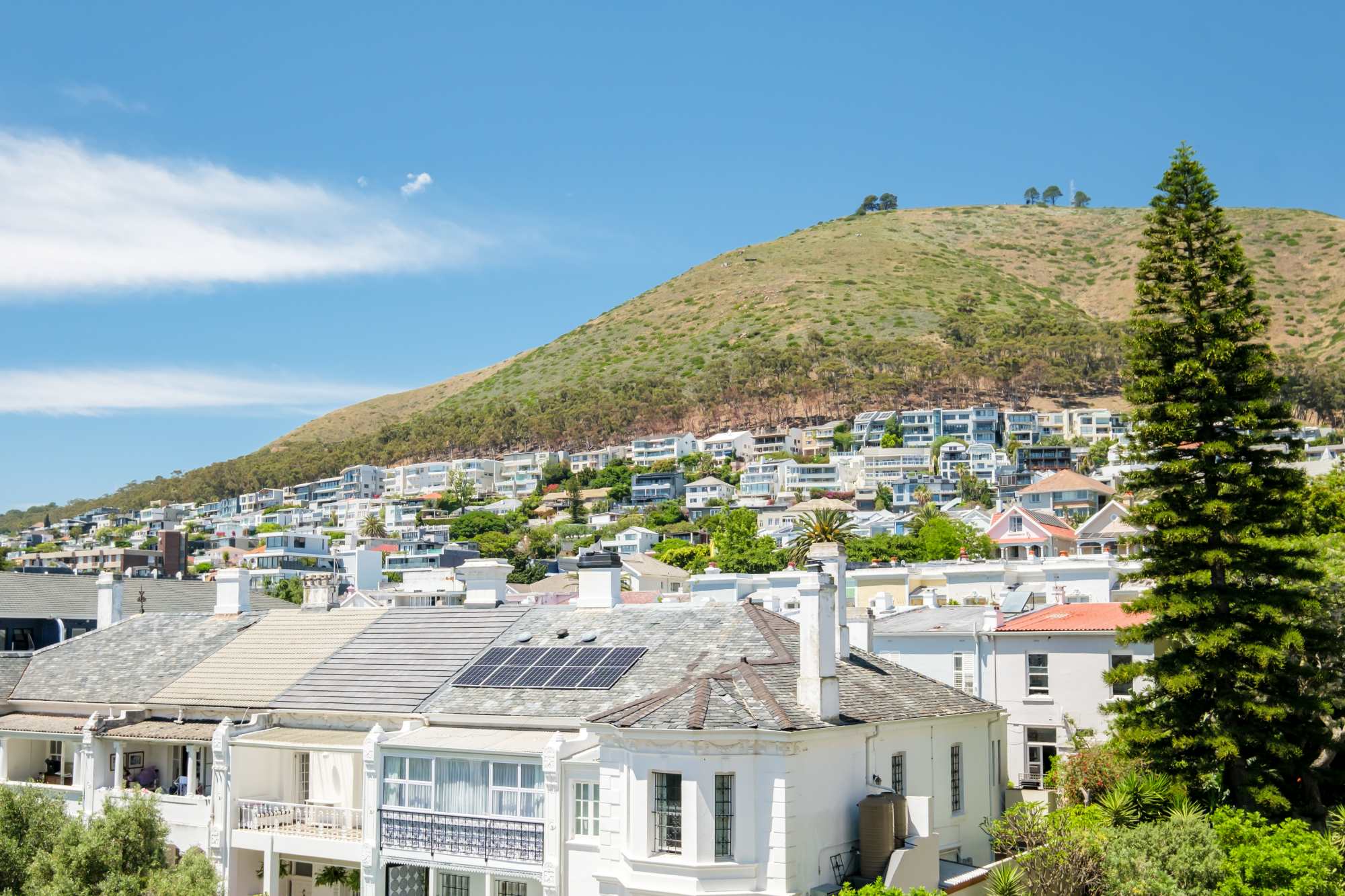 property_[object Object]_21