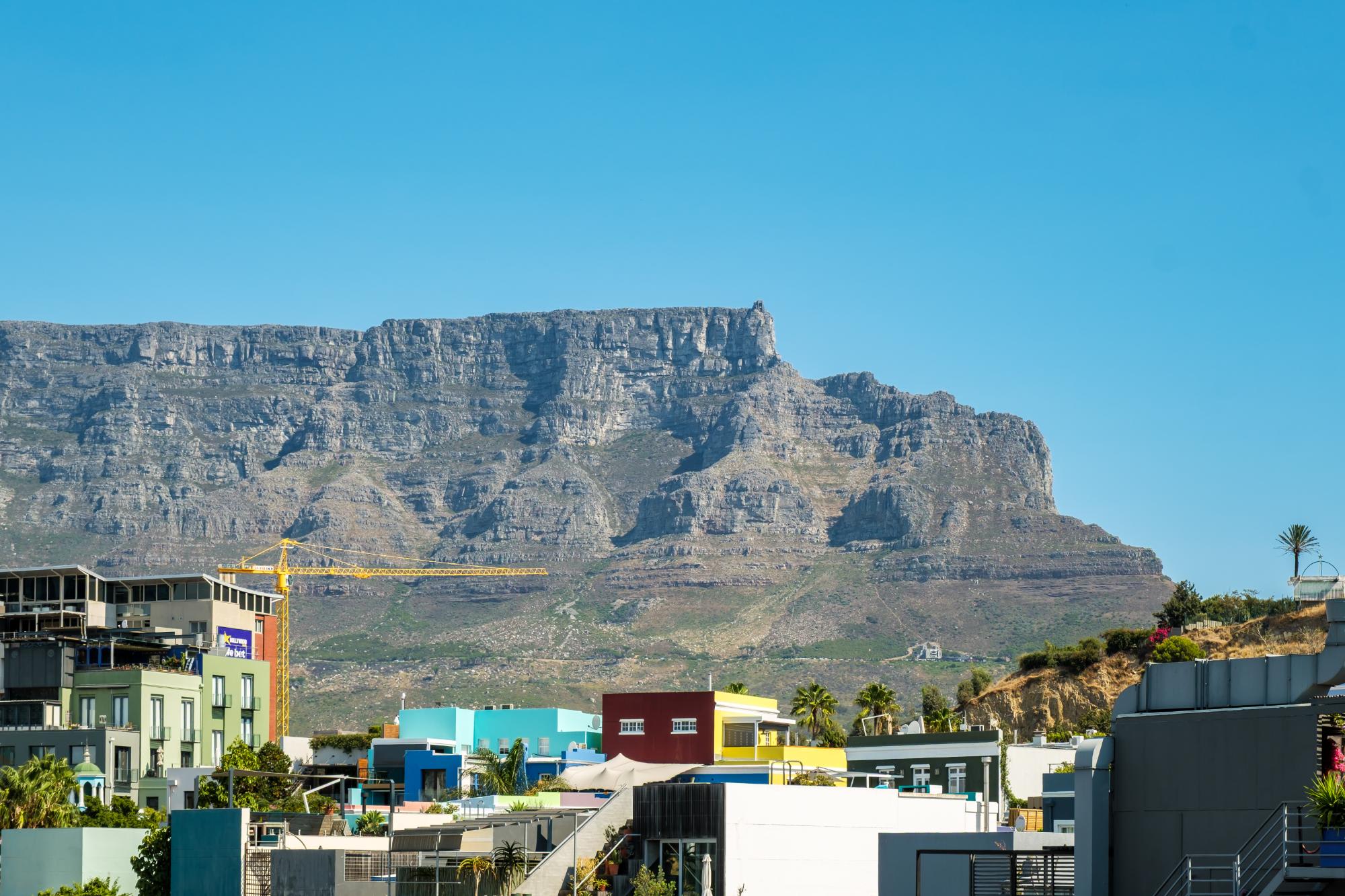 property_[object Object]_16