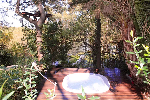 property_[object Object]_36