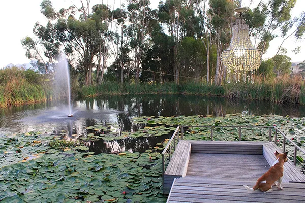 property_[object Object]_37