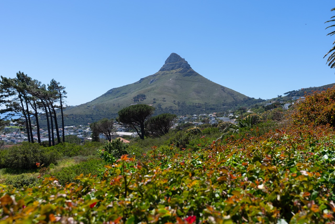 property_[object Object]_23