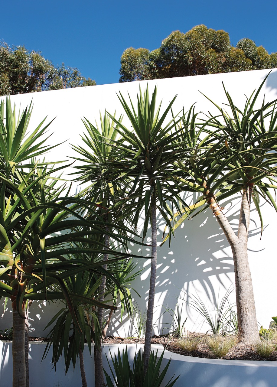 property_[object Object]_39