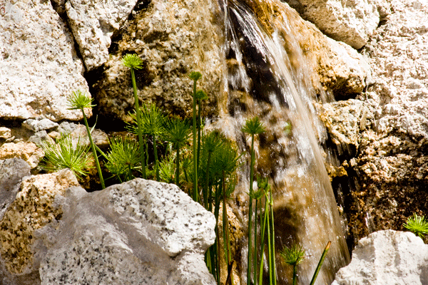 property_[object Object]_5