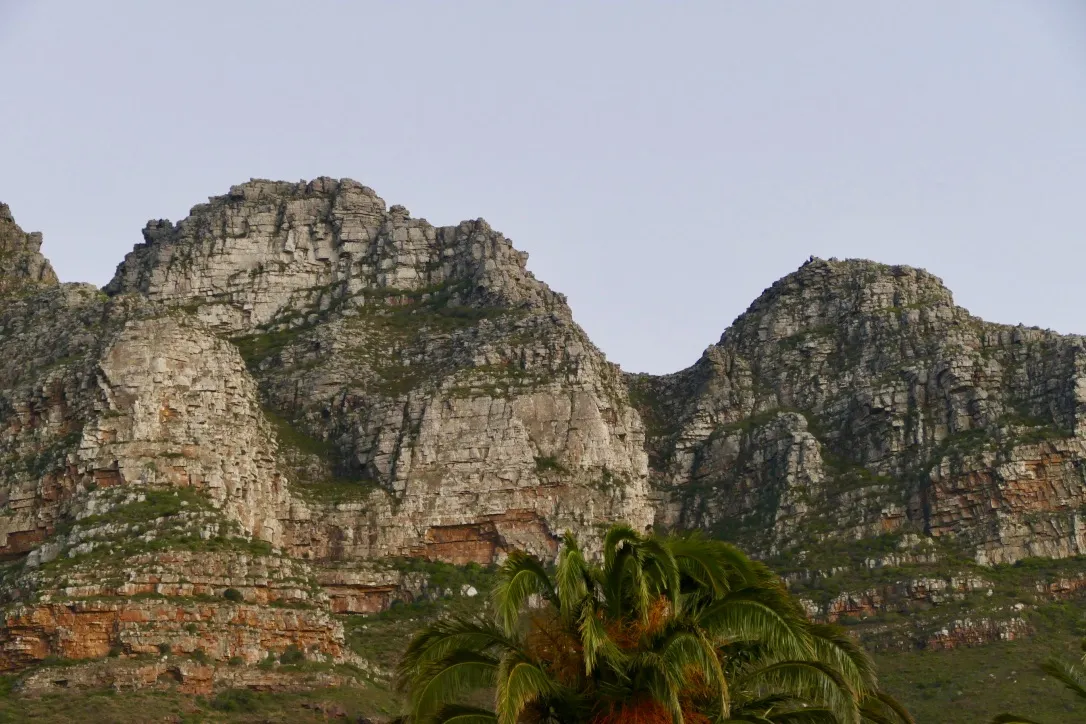 property_[object Object]_8