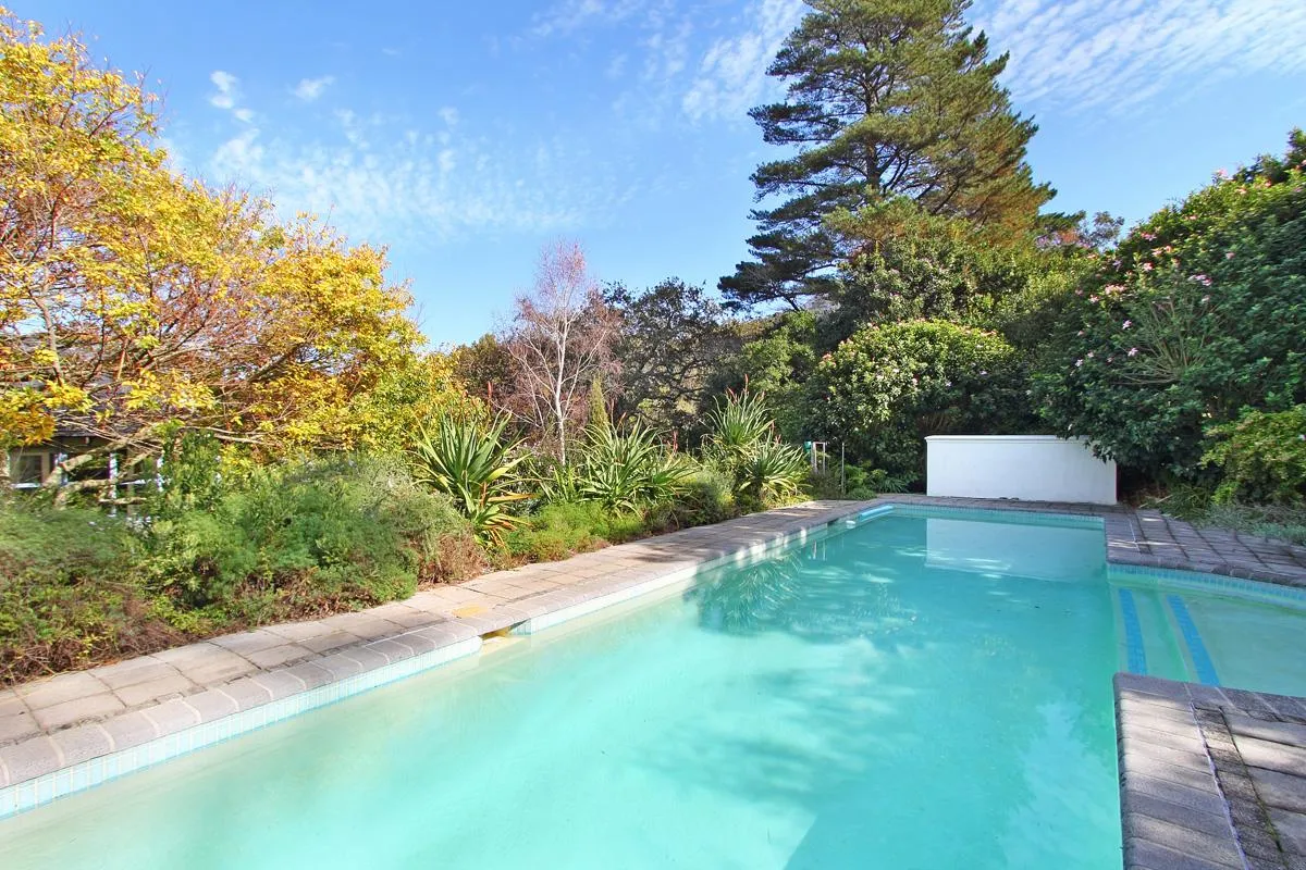 Constantia Sunbird, Constantia