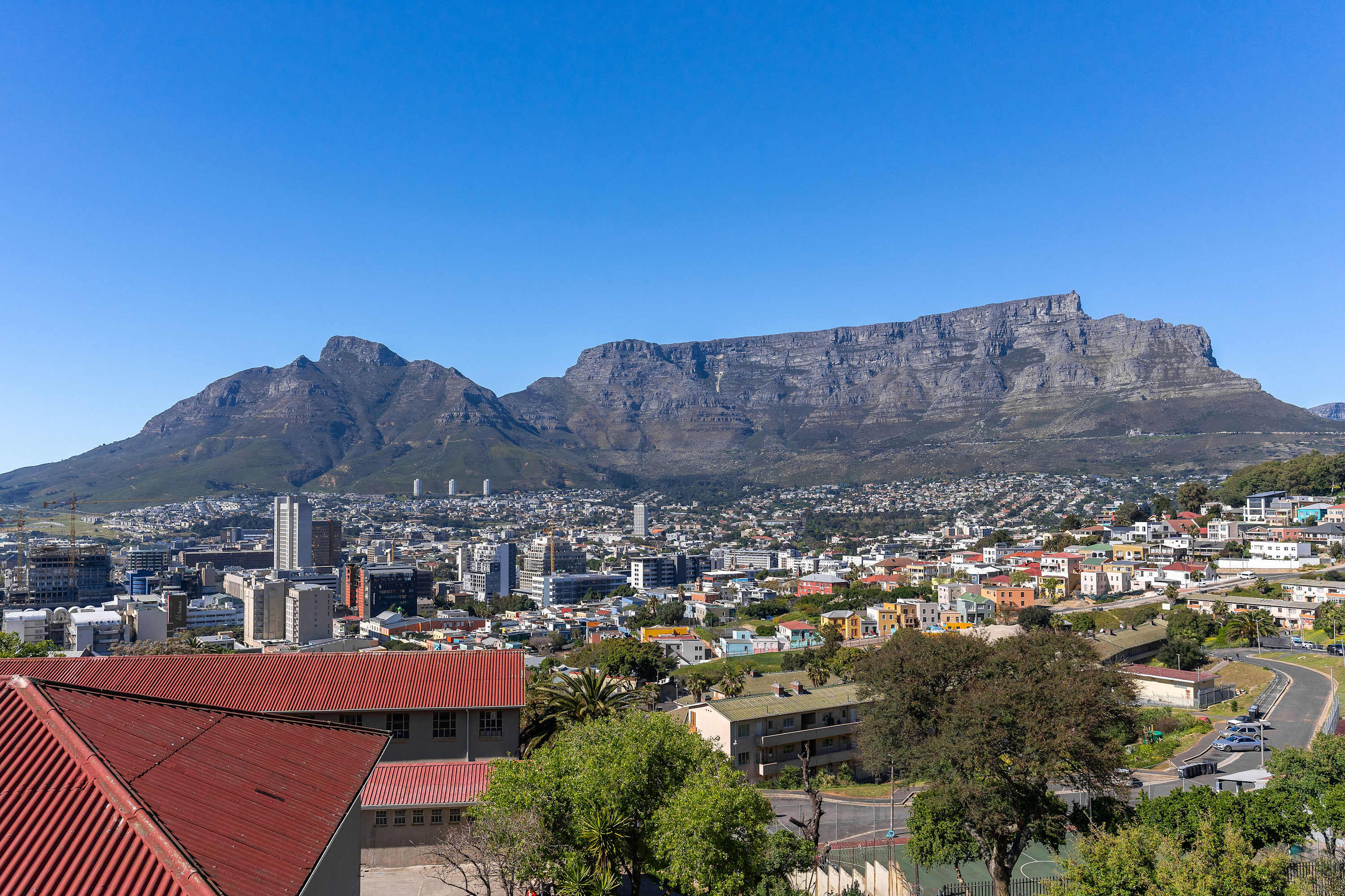 property_[object Object]_24