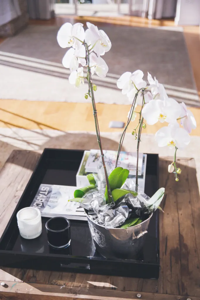 property_[object Object]_4