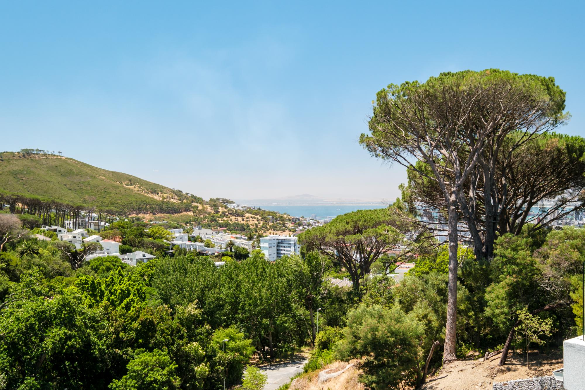 property_[object Object]_34