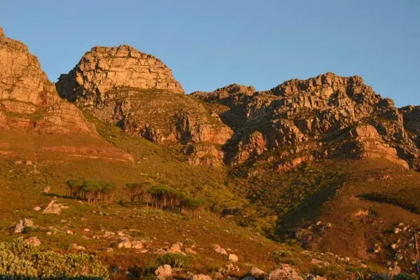 property_[object Object]_10