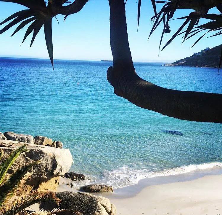 property_[object Object]_21