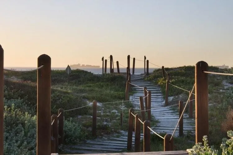 property_[object Object]_16