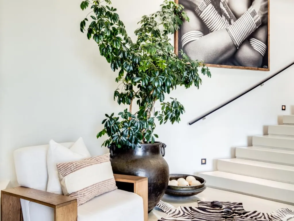 property_[object Object]_35