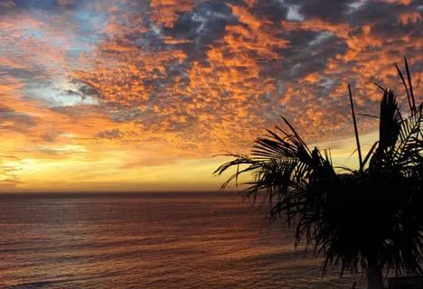 property_[object Object]_8