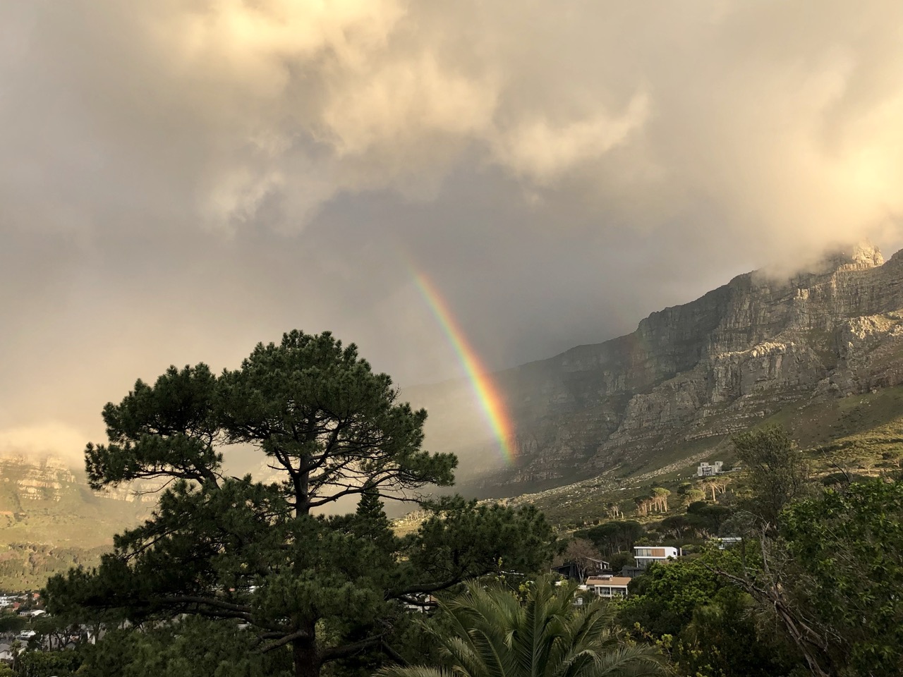 property_[object Object]_30