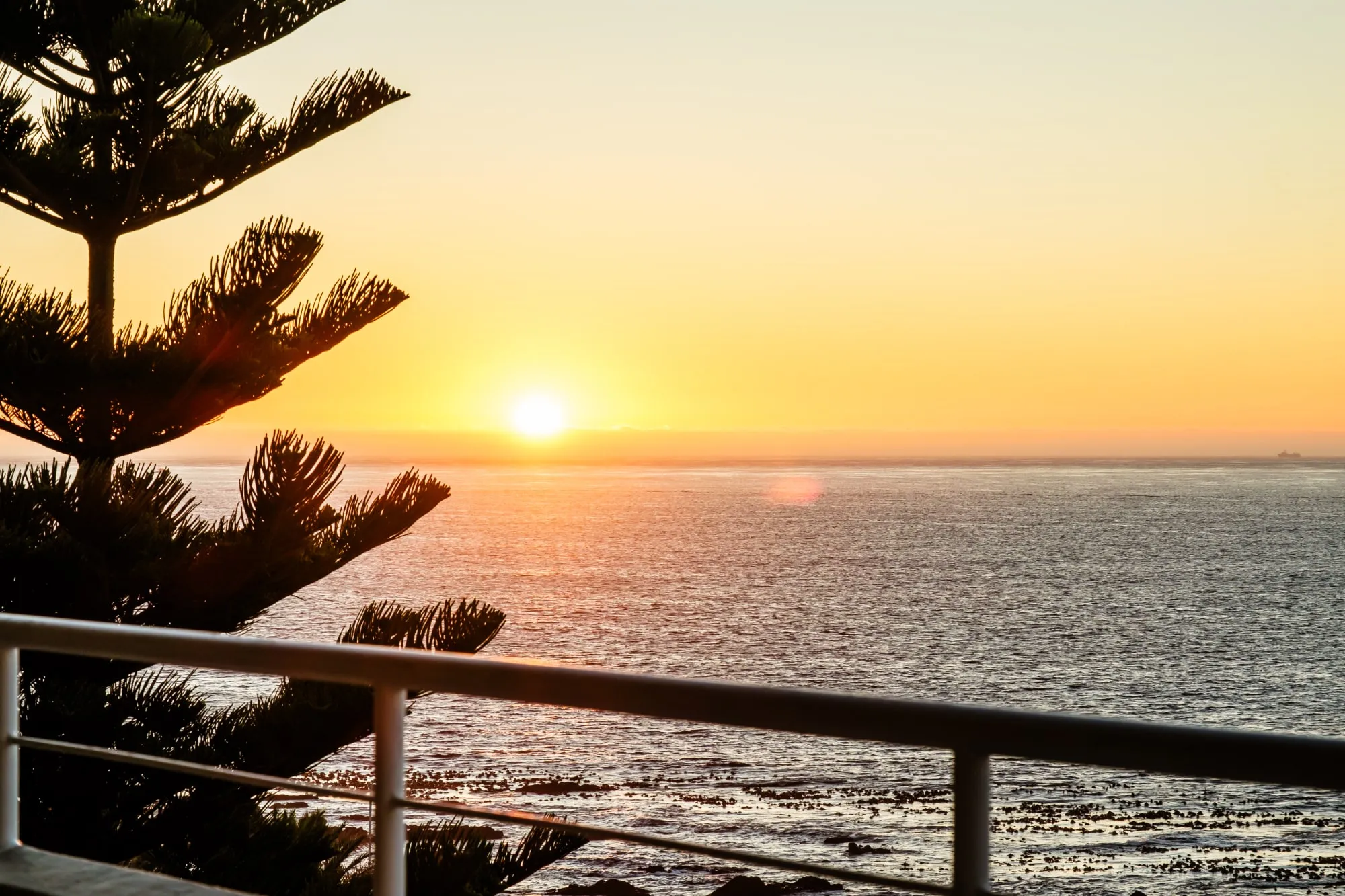 property_[object Object]_28