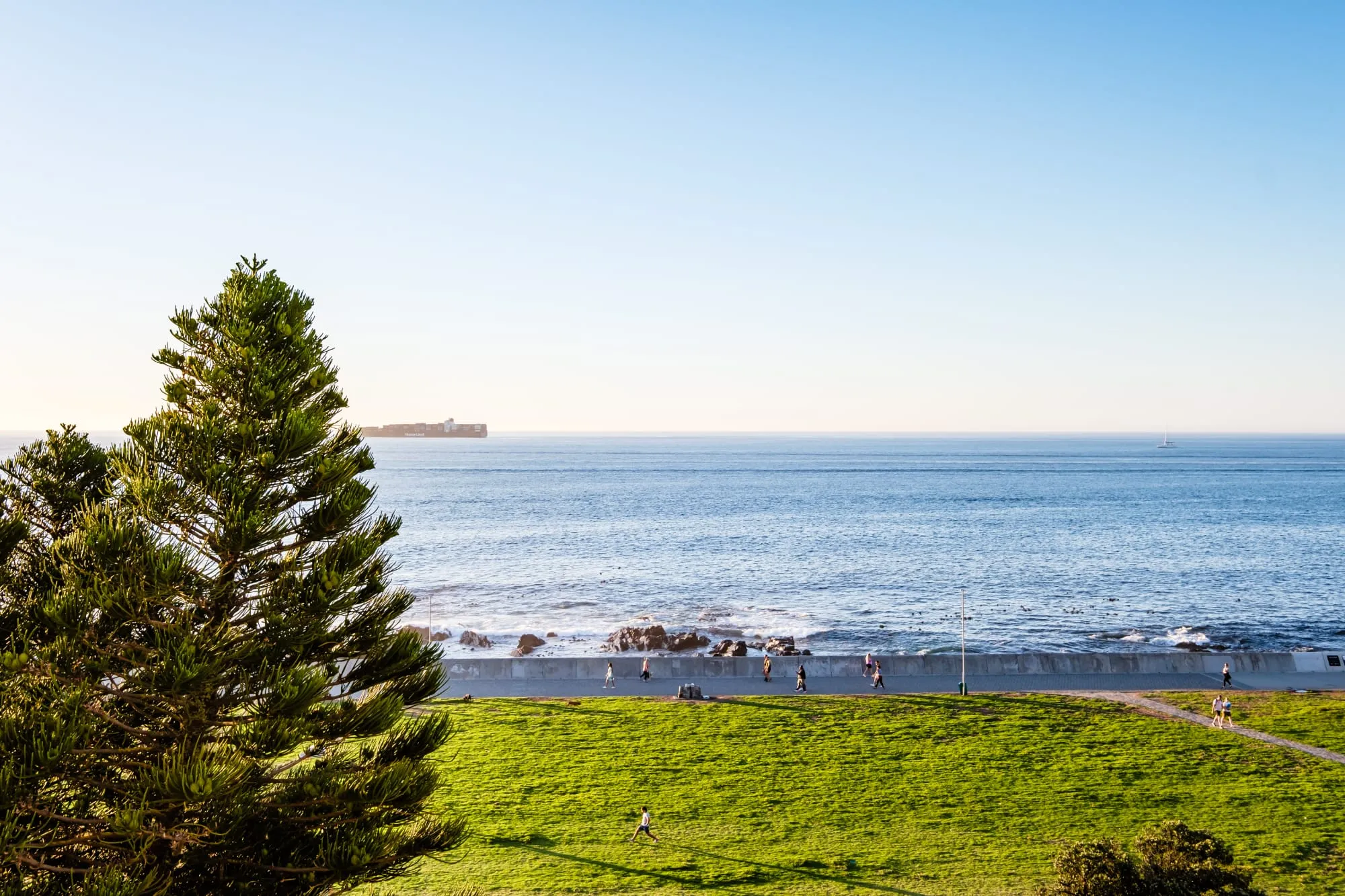 property_[object Object]_26