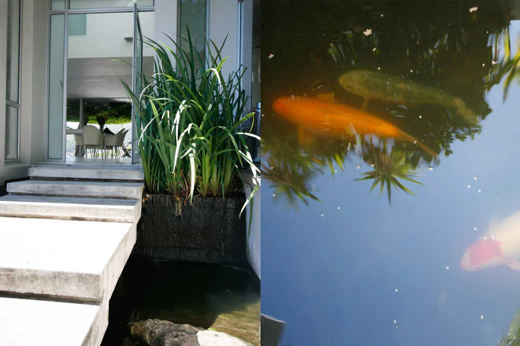 property_[object Object]_24