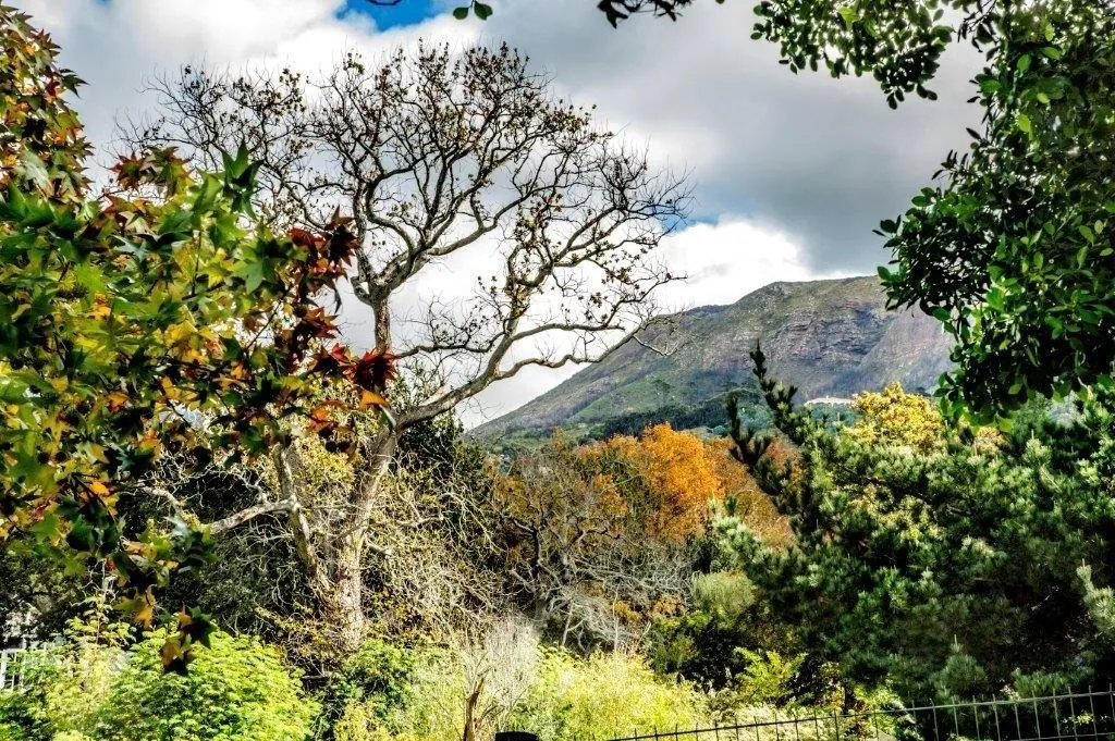 property_[object Object]_4