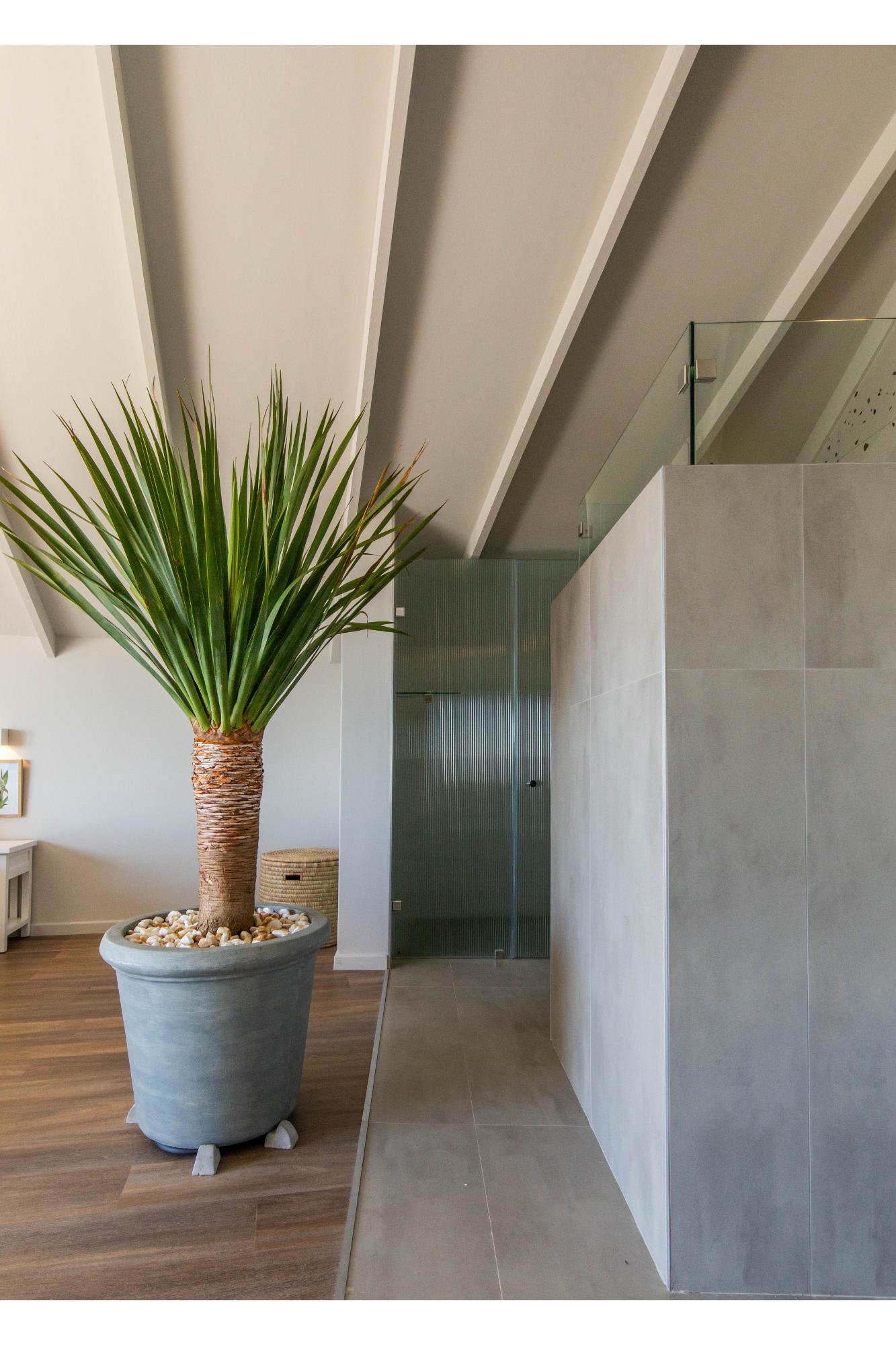 property_[object Object]_17