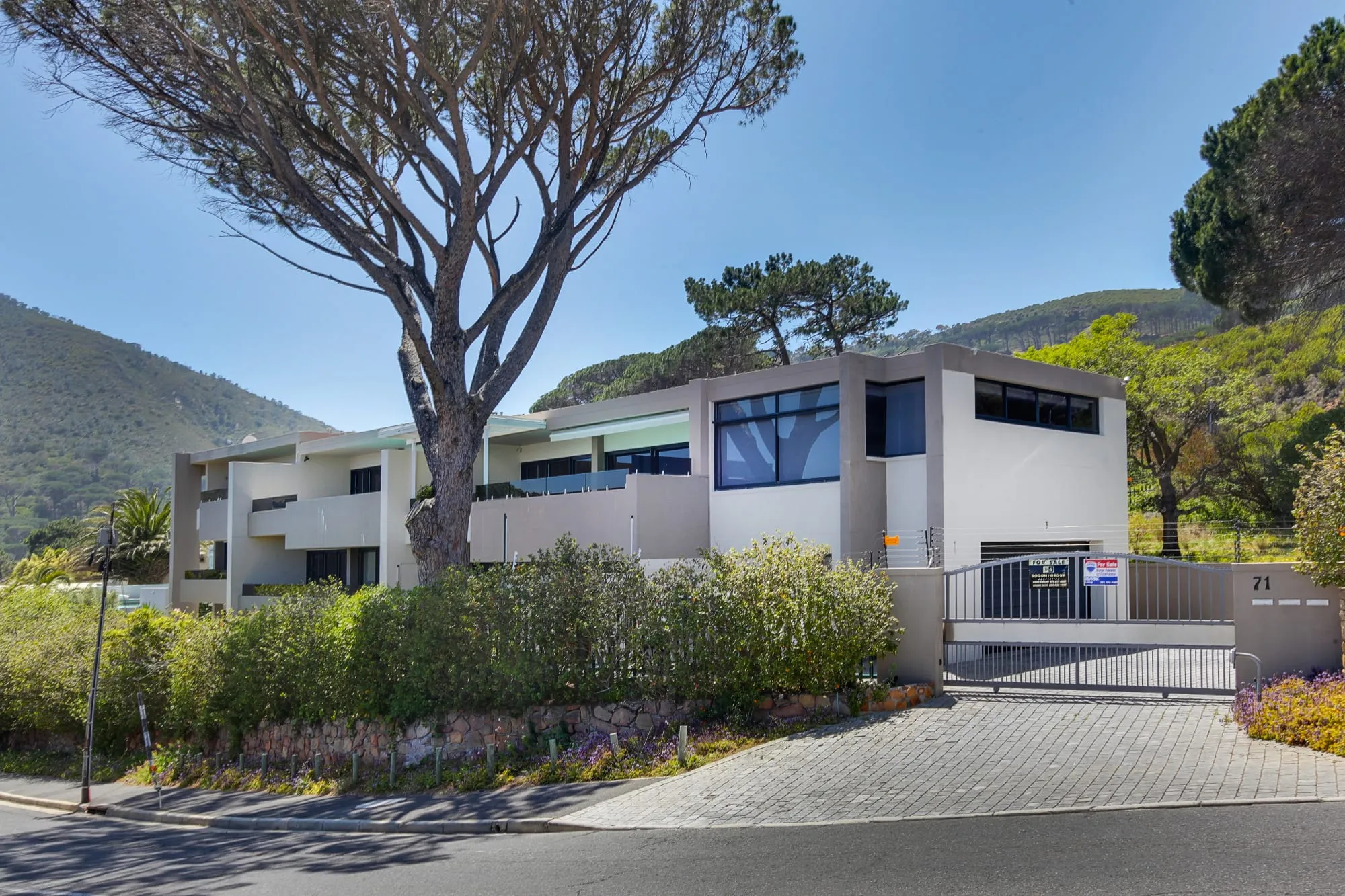 property_[object Object]_56