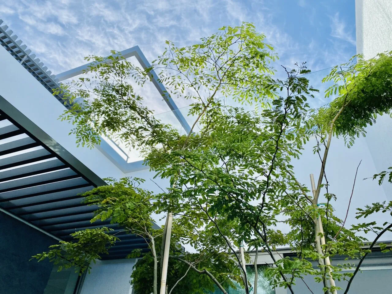 property_[object Object]_38