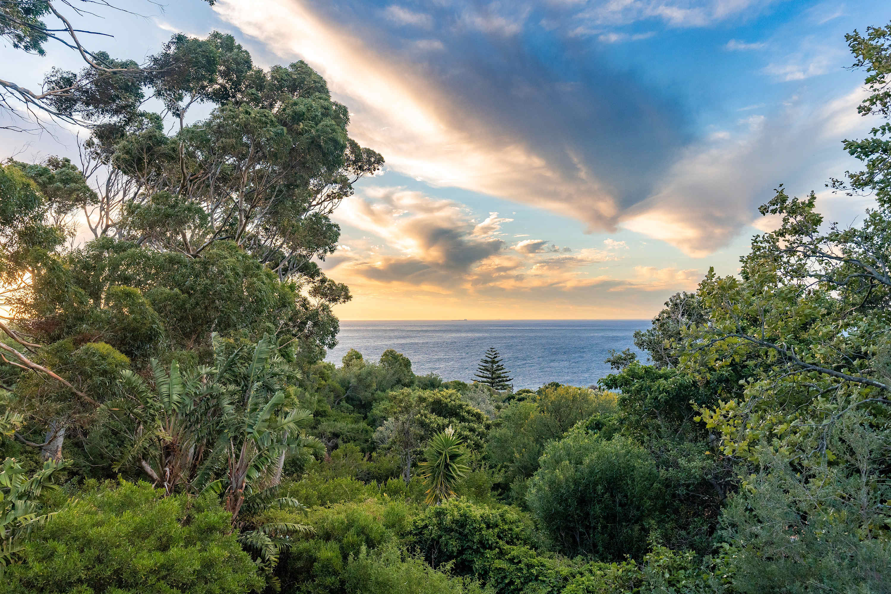 property_[object Object]_23