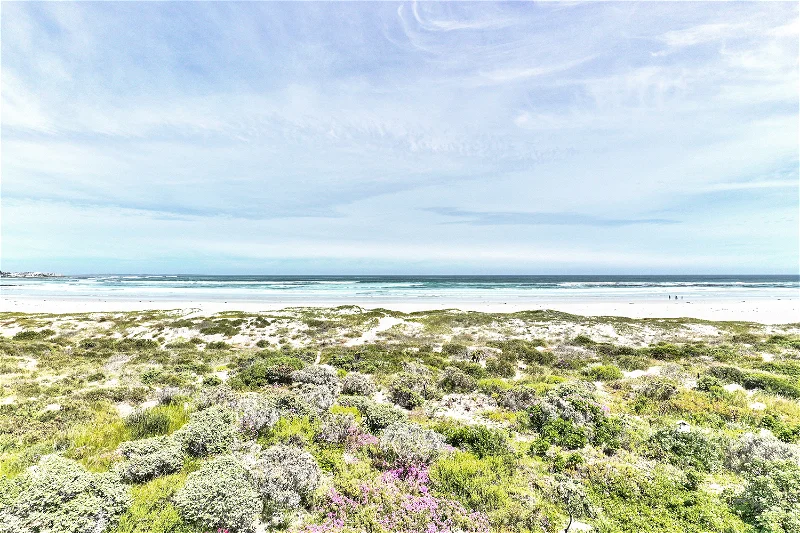 property_[object Object]_36