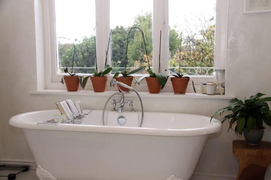 property_[object Object]_12