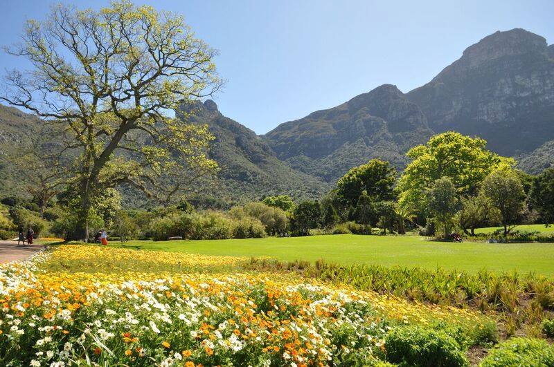 Cape Towns Big 7 Attractions